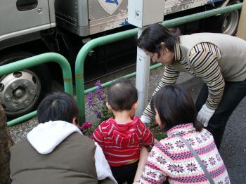 2011.03.12 sarugaku gardening CIMG0621.JPG